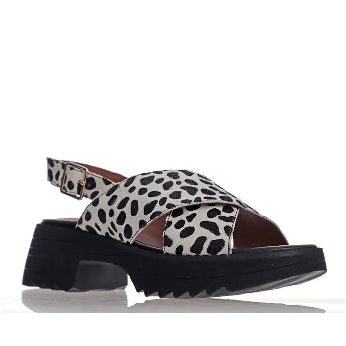 Alfie & Evie Lake Dalmation Black Platform Leather Sandals