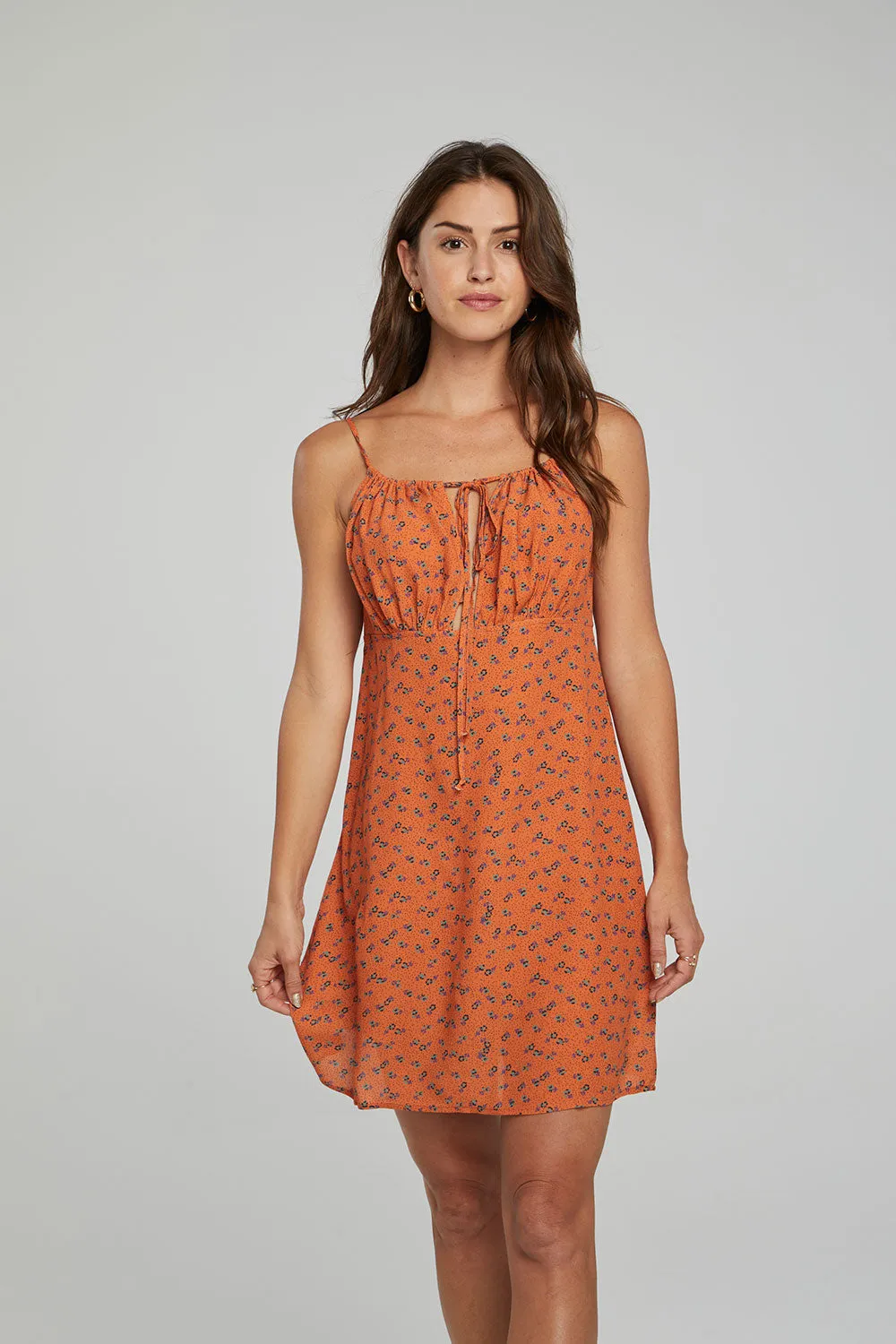 Ashland Mini Dress - Tigerlily