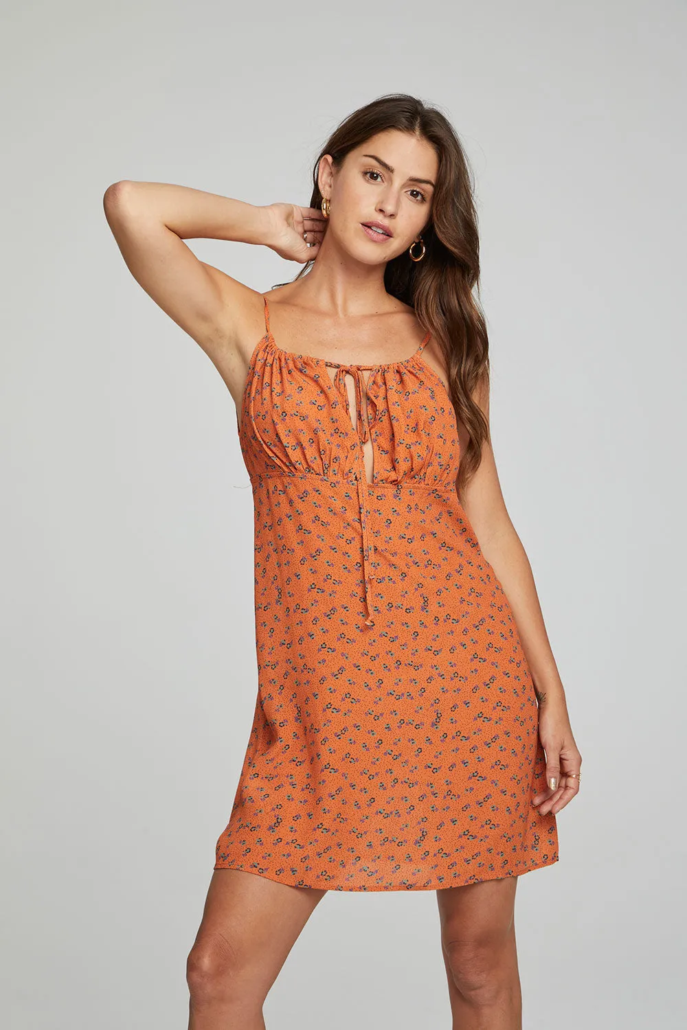 Ashland Mini Dress - Tigerlily