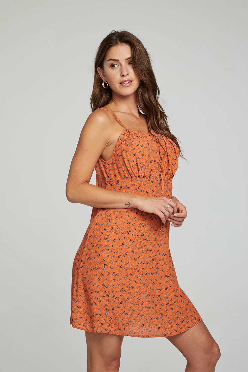 Ashland Mini Dress - Tigerlily