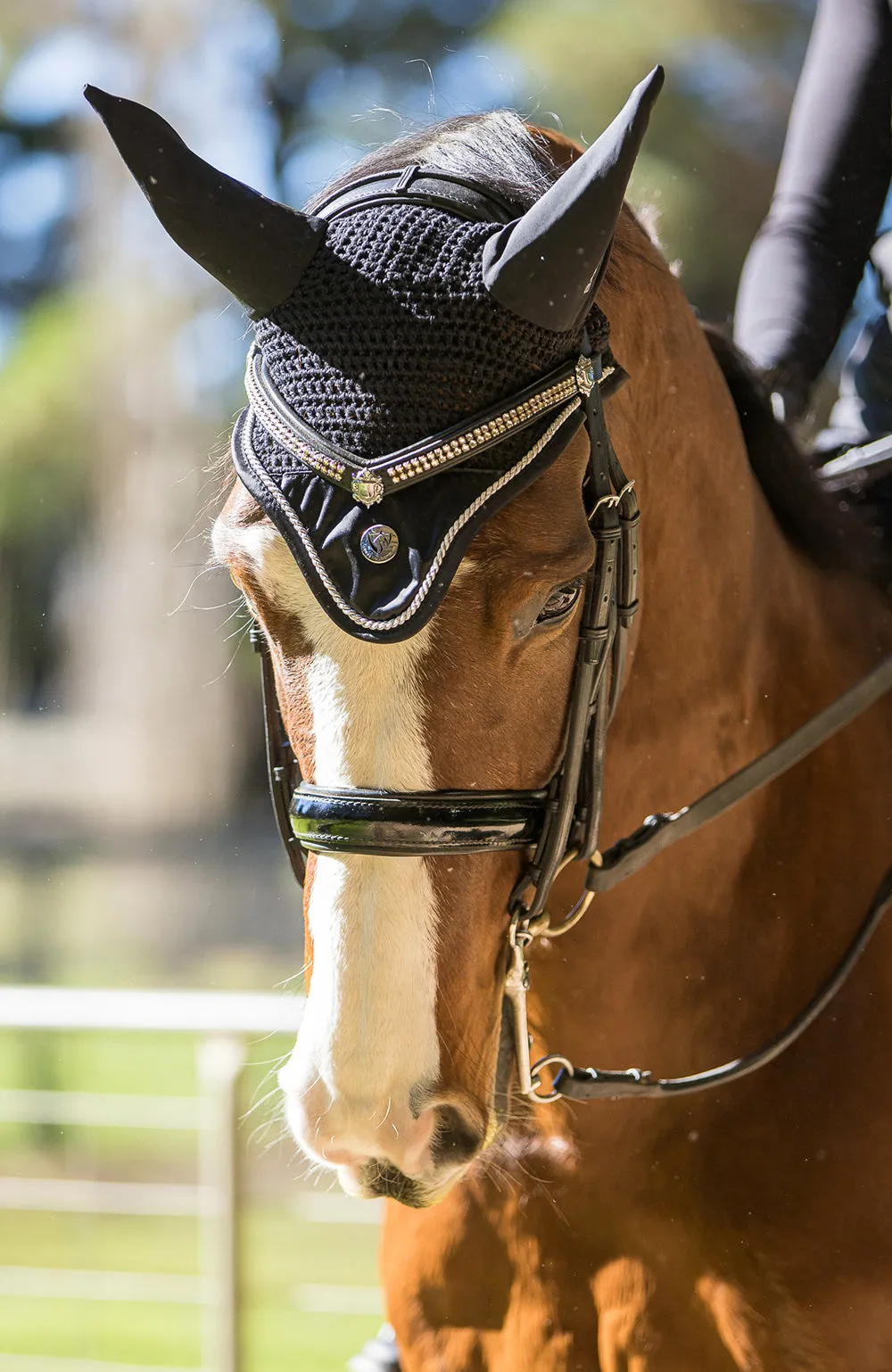 BARE Horse Wear - 'Pro Ears' Earnet - Black