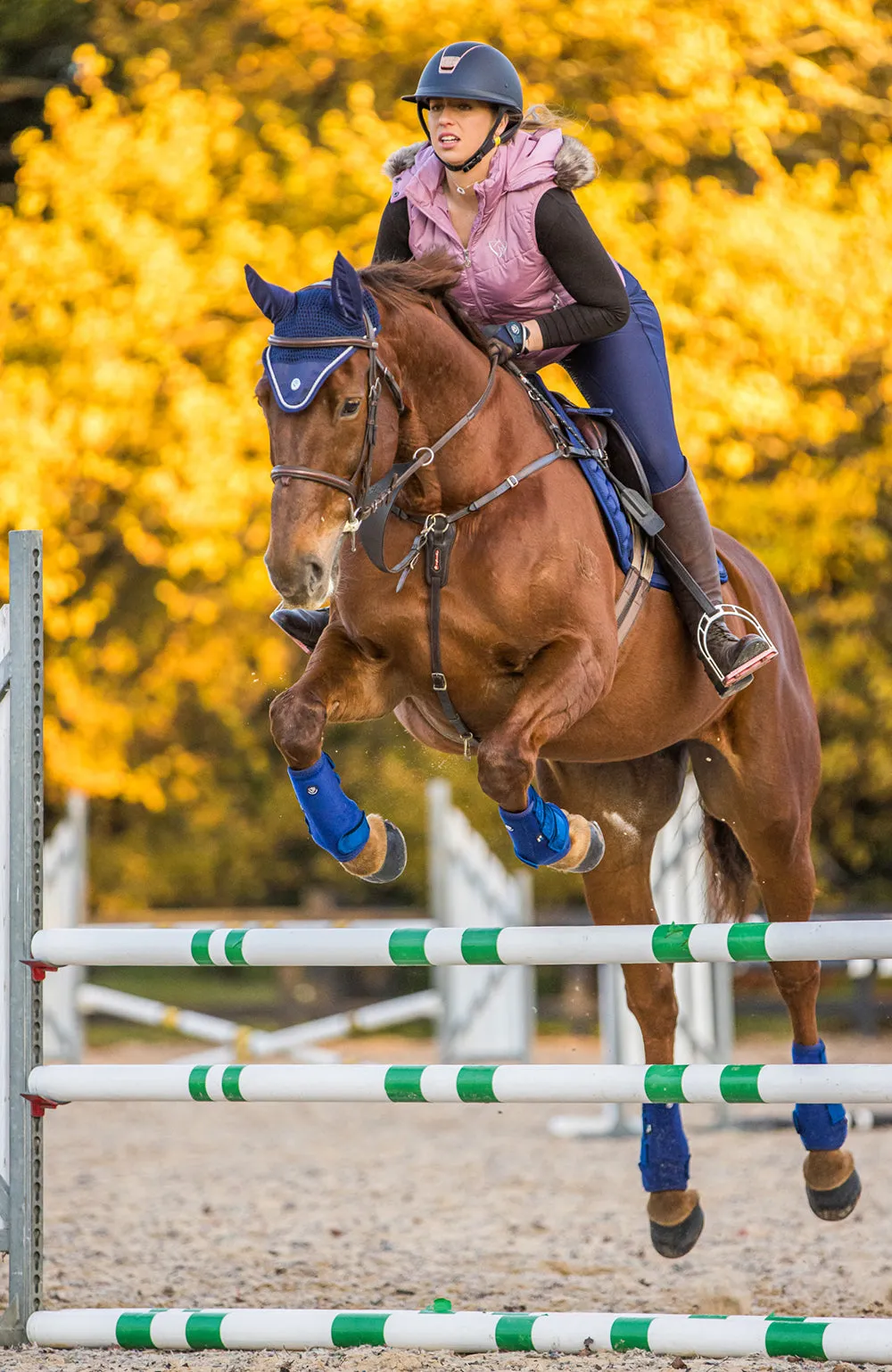 BARE Horse Wear - 'Pro Ears' Earnet - Navy