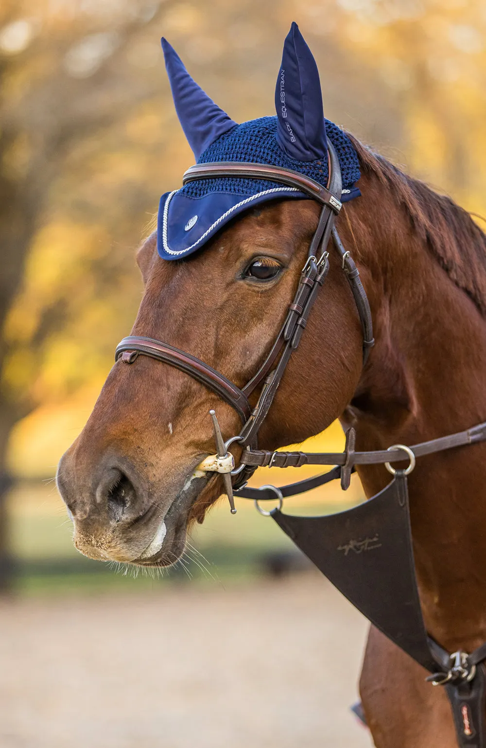 BARE Horse Wear - 'Pro Ears' Earnet - Navy