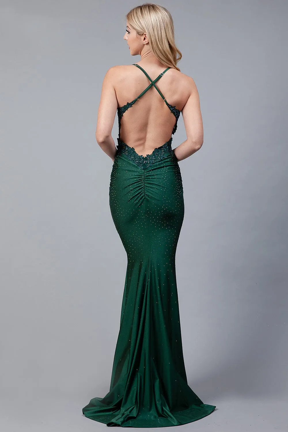 Beaded Applique Sleeveless Gown by Amelia Couture TM1001