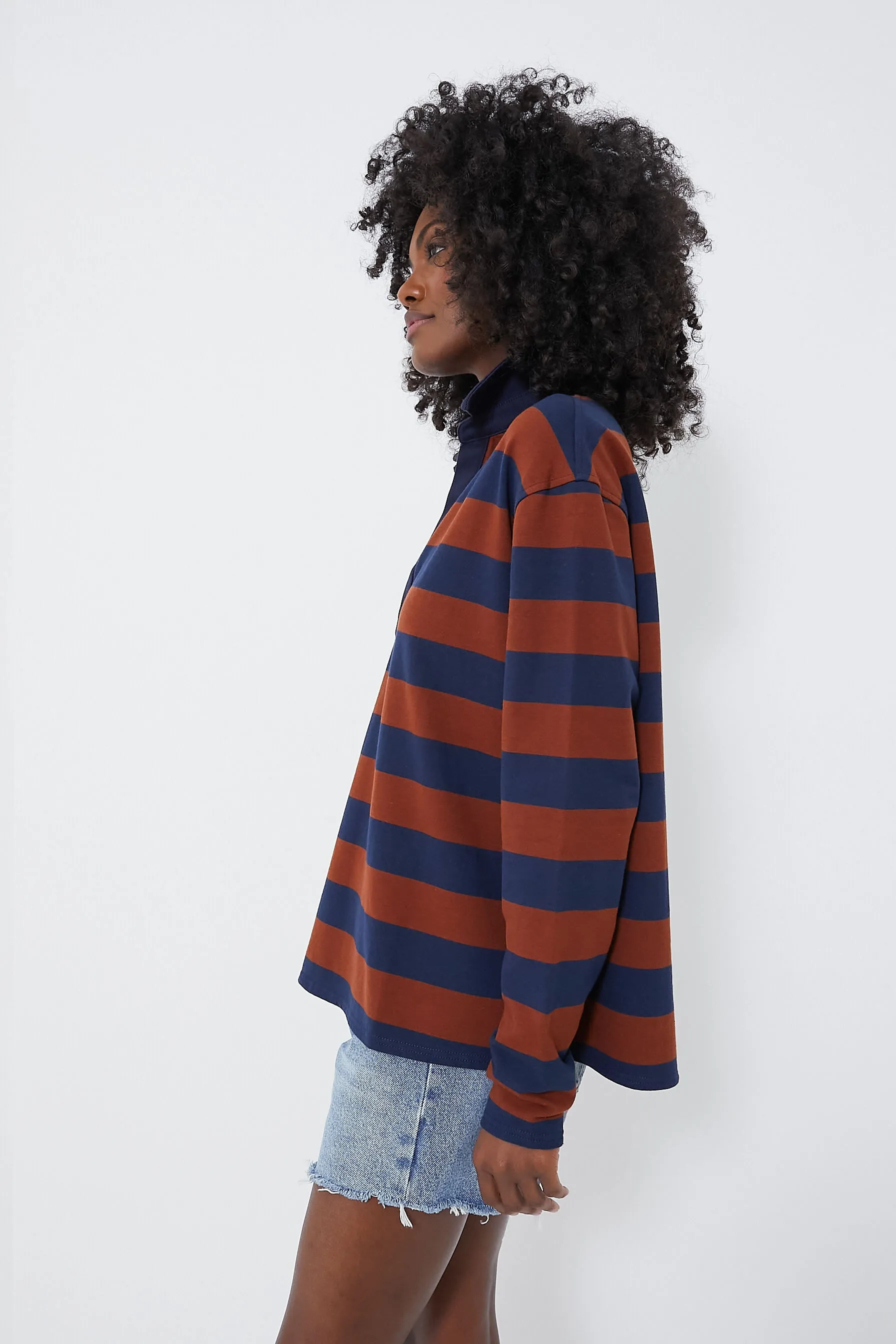 Brown Stripe Ellis Knit Polo Popover