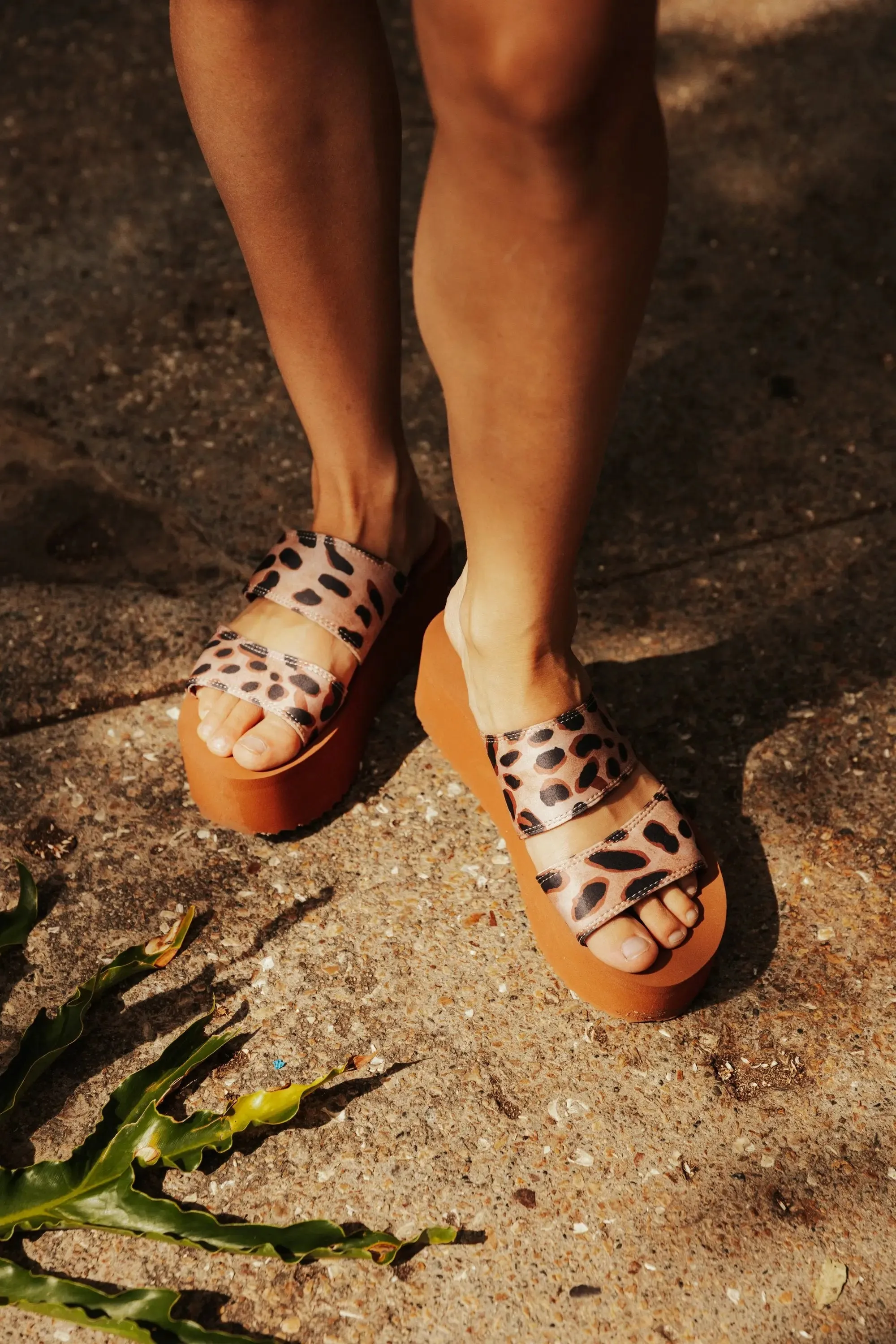 Fierce Fashion: Women's Leopard Print Chunky Platform Sandals with Dual Straps