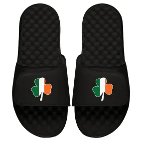 Shamrock Flag Slides